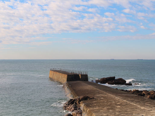 The #1 Thing Realtors Need to Do in this Crazy Economy 