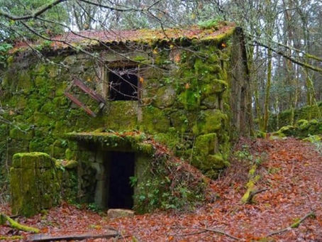 O meu sitio abandonado.