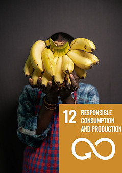 SDG.jpg
