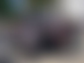 El PJ de Campana sigue recorriendo la ciudad en apoyo a Massa