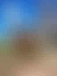 Photo of two large dinosaur metal sculptures in the desert