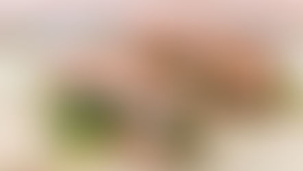 New in Jackson: Sunflower Oven