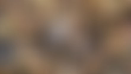 Pecans Slightly Behind Schedule But Promising