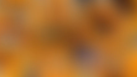 Roasted Kabocha Squash with Red Onions and Garlic