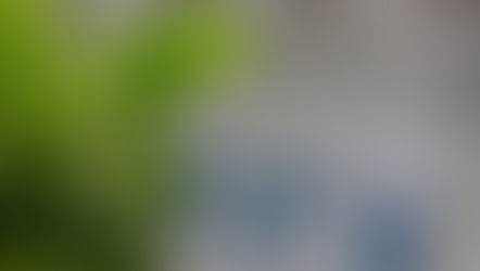 Lots of TLC Goes Into Gamble Family Vineyards