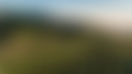 Jackson Family Wines Are Mountain-Grown