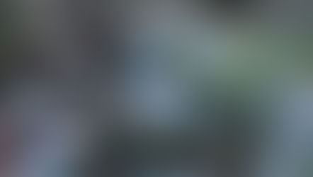 Base Summer Planting on Research, Not Myth