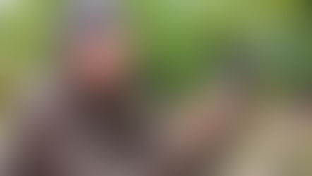 Taste Why This Vina Don Melchor Wine Scored a Perfect 100 From Wine Critics