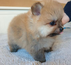 WhatsApp Image 2021-11-28 at 22.50.06.jpeg