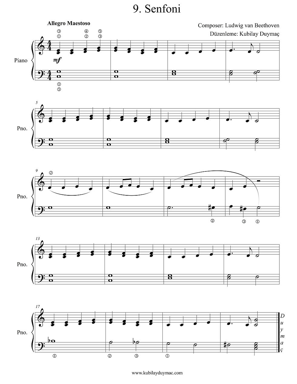 Ludwig van Beethoven - 9. Senfoni Notası