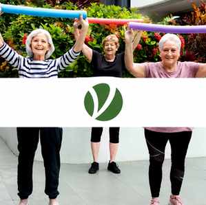 The Village Retirement Group