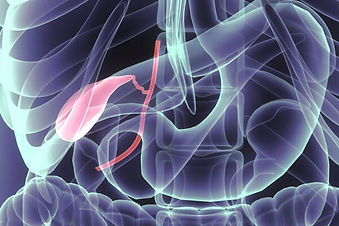 gall-bladder_edited.jpg