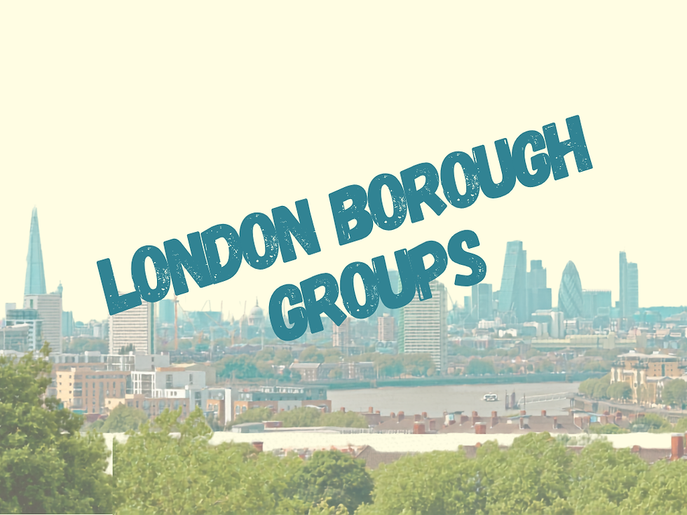 An image of the London sky line with the words London borough groups