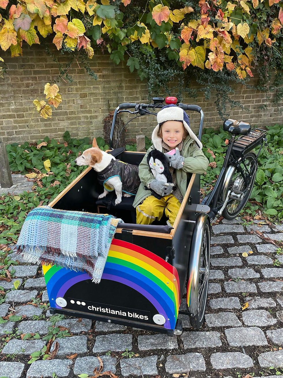 Welcome to the Cargo Collective!