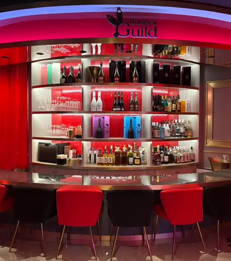 秋葉原 コンセプトカフェ バニーズギルド インテリア バーカウンター