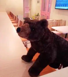 秋葉原 コンセプトカフェ あにまーる インテリア バーカウンター、テーブルとかわいいクマのぬいぐるみ 