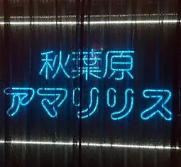 アマリリス ロゴ 秋葉原 メイドカフェ