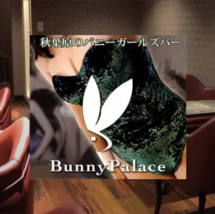Akihabara Girls Bar Bunny Palace