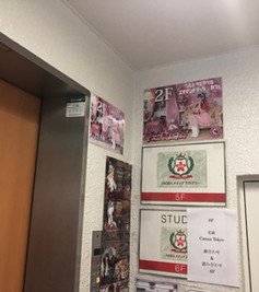 PINK DRAGON Interior 2