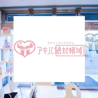Maid Cafe AKIBA ZETTAI Ryouiki in Akihabara logo