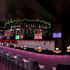 Akihabara Concept Cafe Alcoholic interior bar counter 2