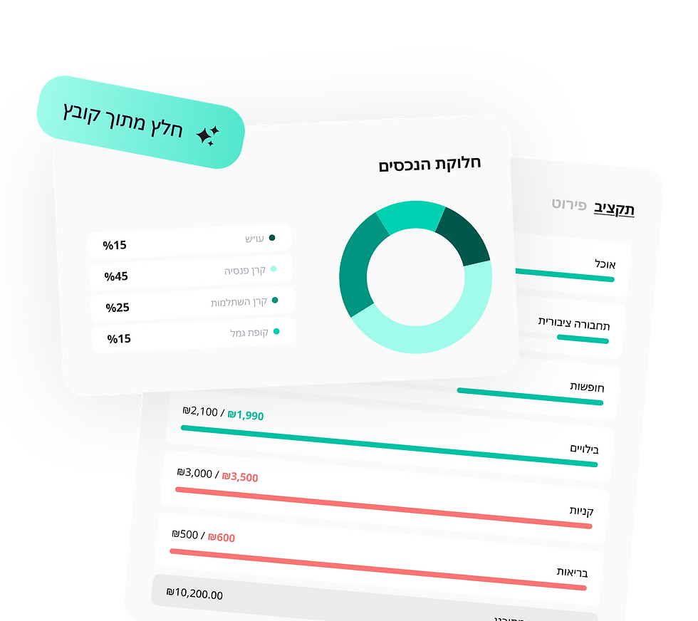 תמונת מצב פיננסית של הלקוח.png