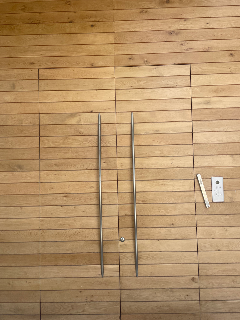 Hidden wooden doors with sleek handles