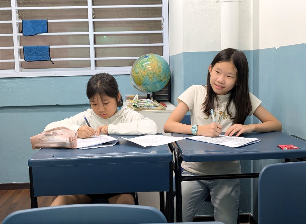 100 Idioms for primary school compositions