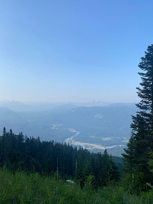 Sauk Mountain. A view from on high overlooking hazy blue hills. The silhouette of a Doug Fir tree borders the edge on the right.