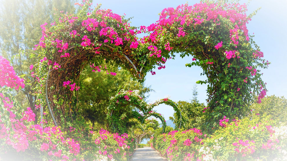 Flowers in shape of hart