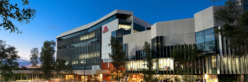 Griffith-University-Gold-Coast-campus.png