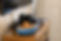 Sandy_Toes)_Cottage_2023_014.jpg