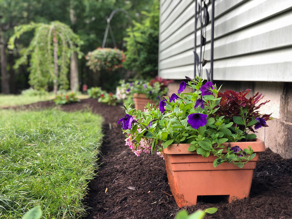 Mulch Love 6 Steps for a Better Mulch Bed