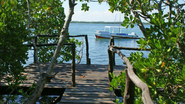 Mida Creek Boardwalk and Canoe Ride