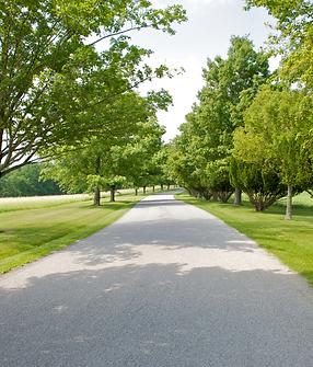 Crushed Concrete Driveway | Driveway Services