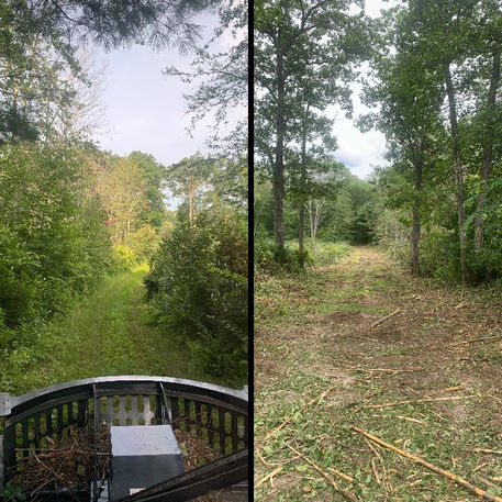 Brush Mulching Services | Land Clearing Contractor 