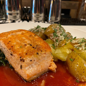 Salmon