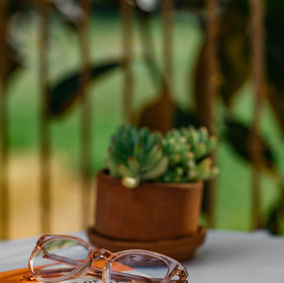 Maia_s Garden Show (Comp LR)-25.jpg