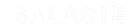 saladie png.png