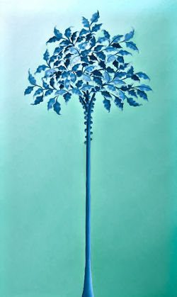 Jaboticaba. Isla de Trinidad