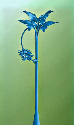 Plantain. Isla de La Palma