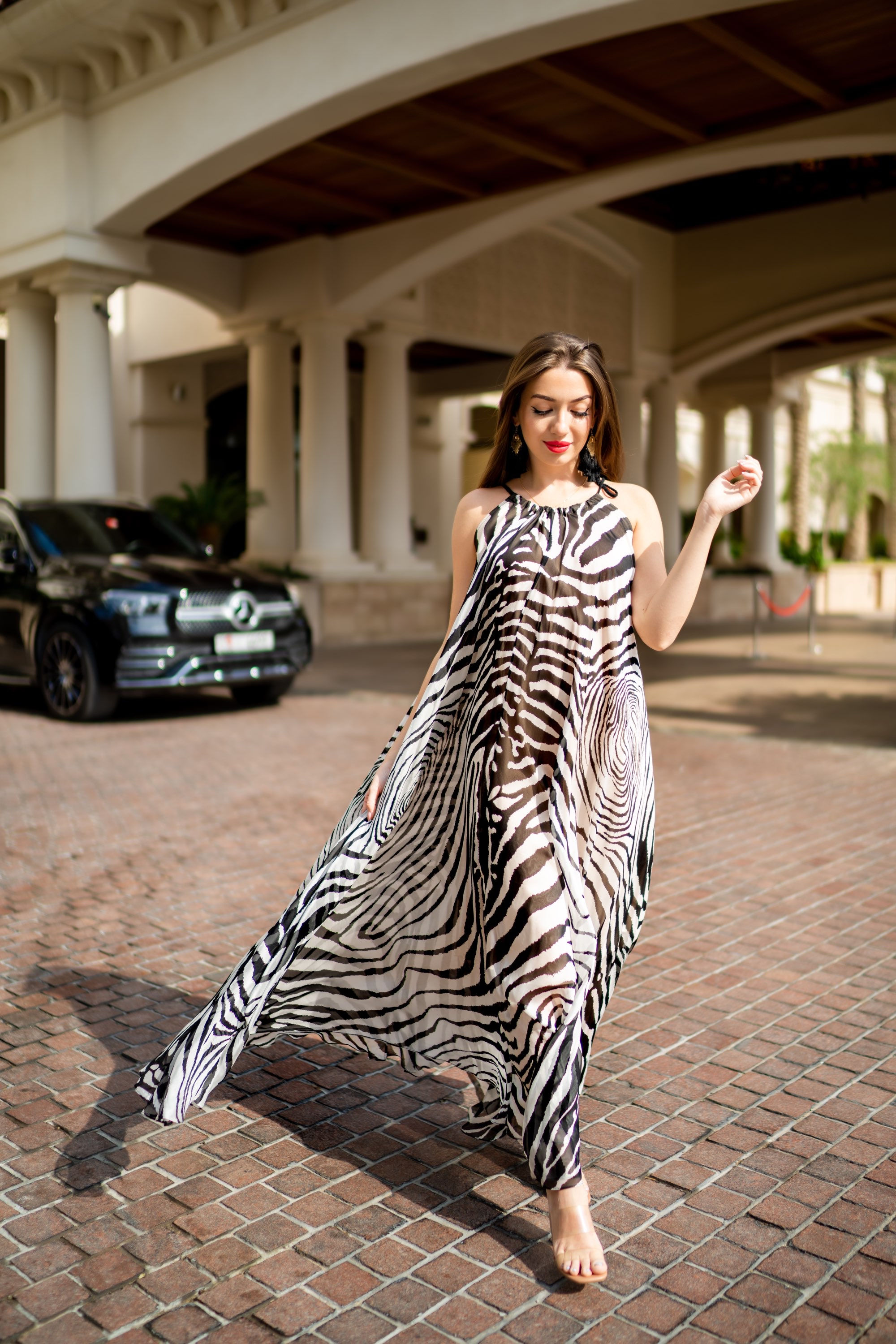 Zebra Silk Dress