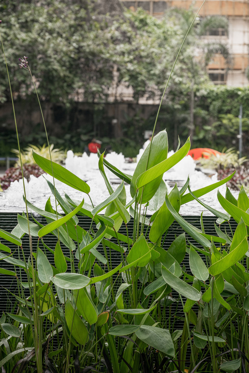 Sthala _ One International Center_Water Feature