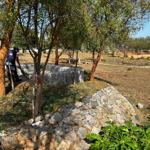 National Institute of Engineering