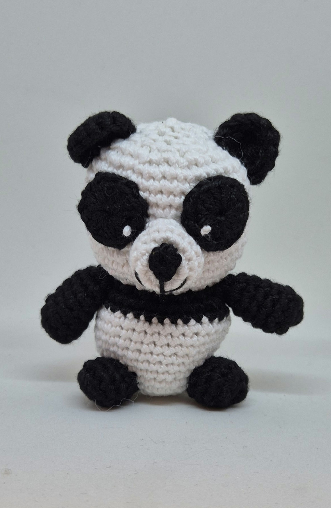 3110 Hekla panda