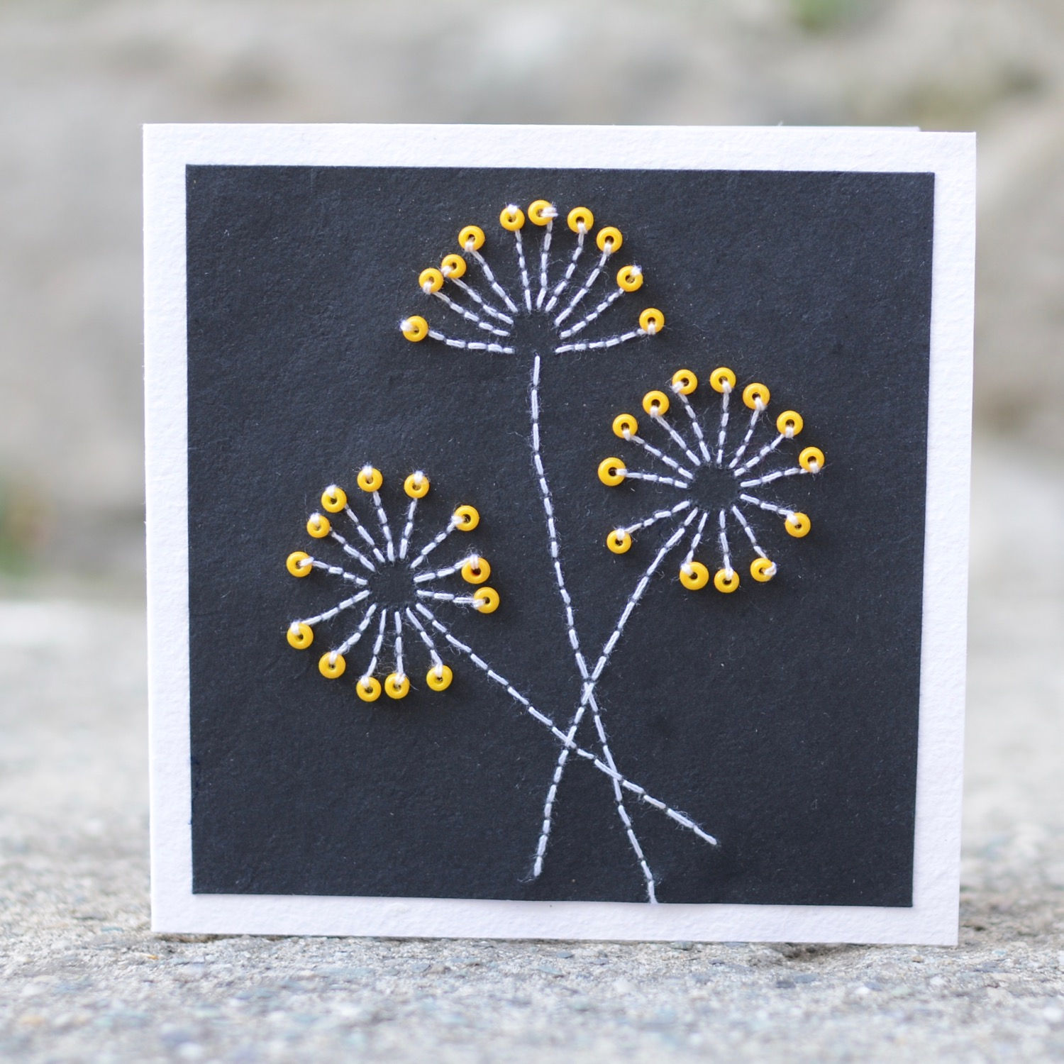 1166 - Flower in the night