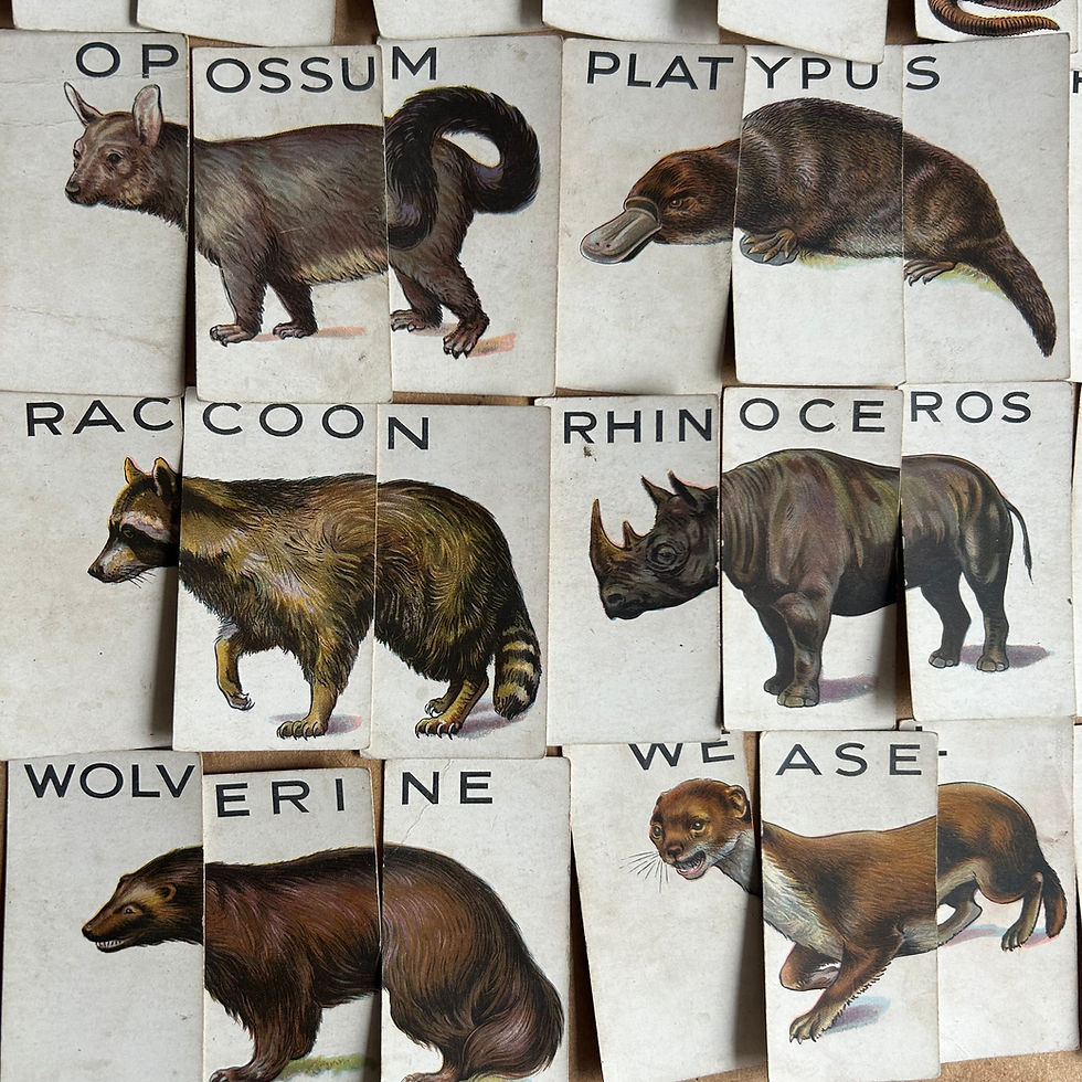 Thumbnail: Animalloys Cigarette cards 