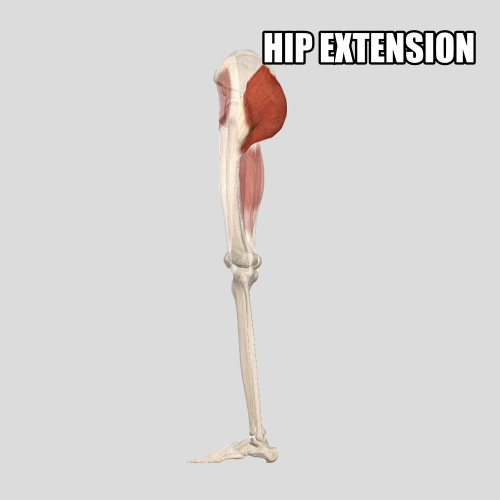 Personal Training Plano, TX