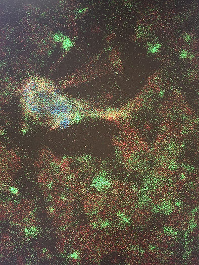 microscopy.jpg