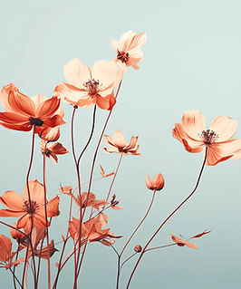 Cosmos Blossom_edited_edited.jpg